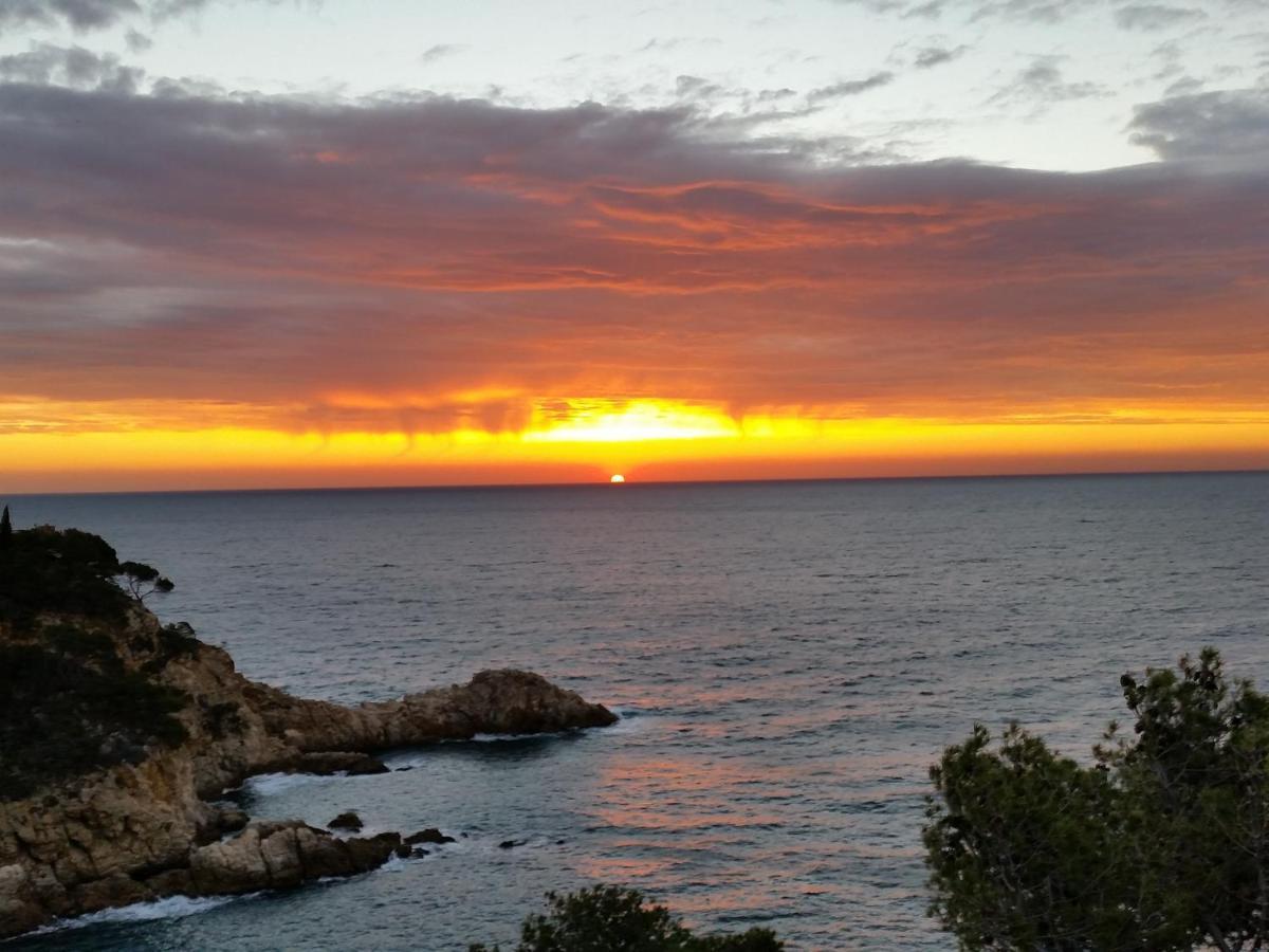 Pola Giverola Camp Tossa de Mar Kültér fotó