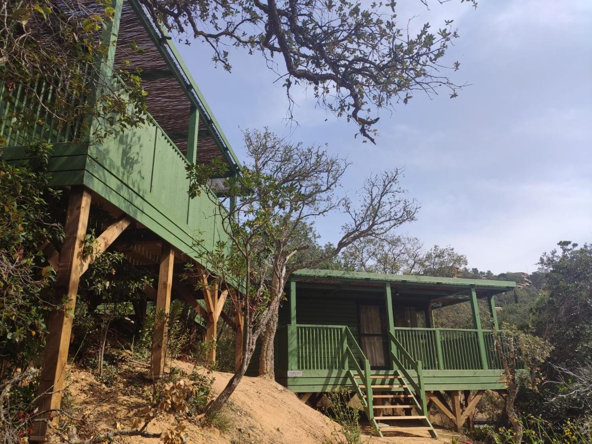 Pola Giverola Camp Tossa de Mar Kültér fotó