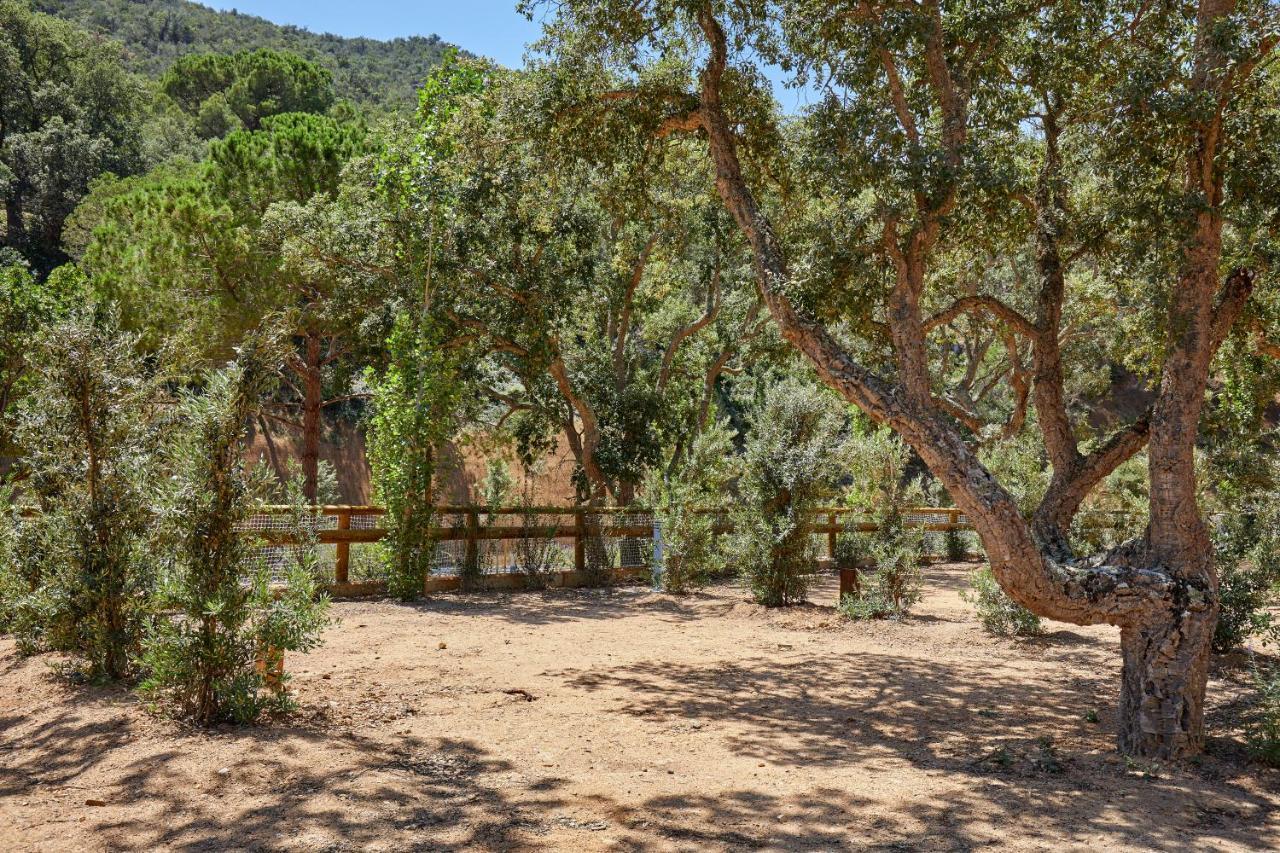 Pola Giverola Camp Tossa de Mar Kültér fotó