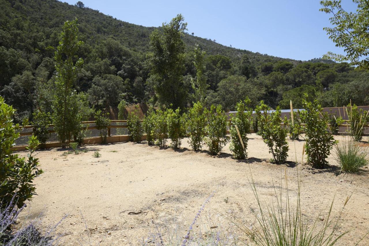 Pola Giverola Camp Tossa de Mar Kültér fotó